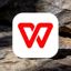 WPS Office 官方图标 - 红色'W'字母标志